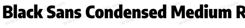 Black Sans Condensed Medium Regular字体转换
